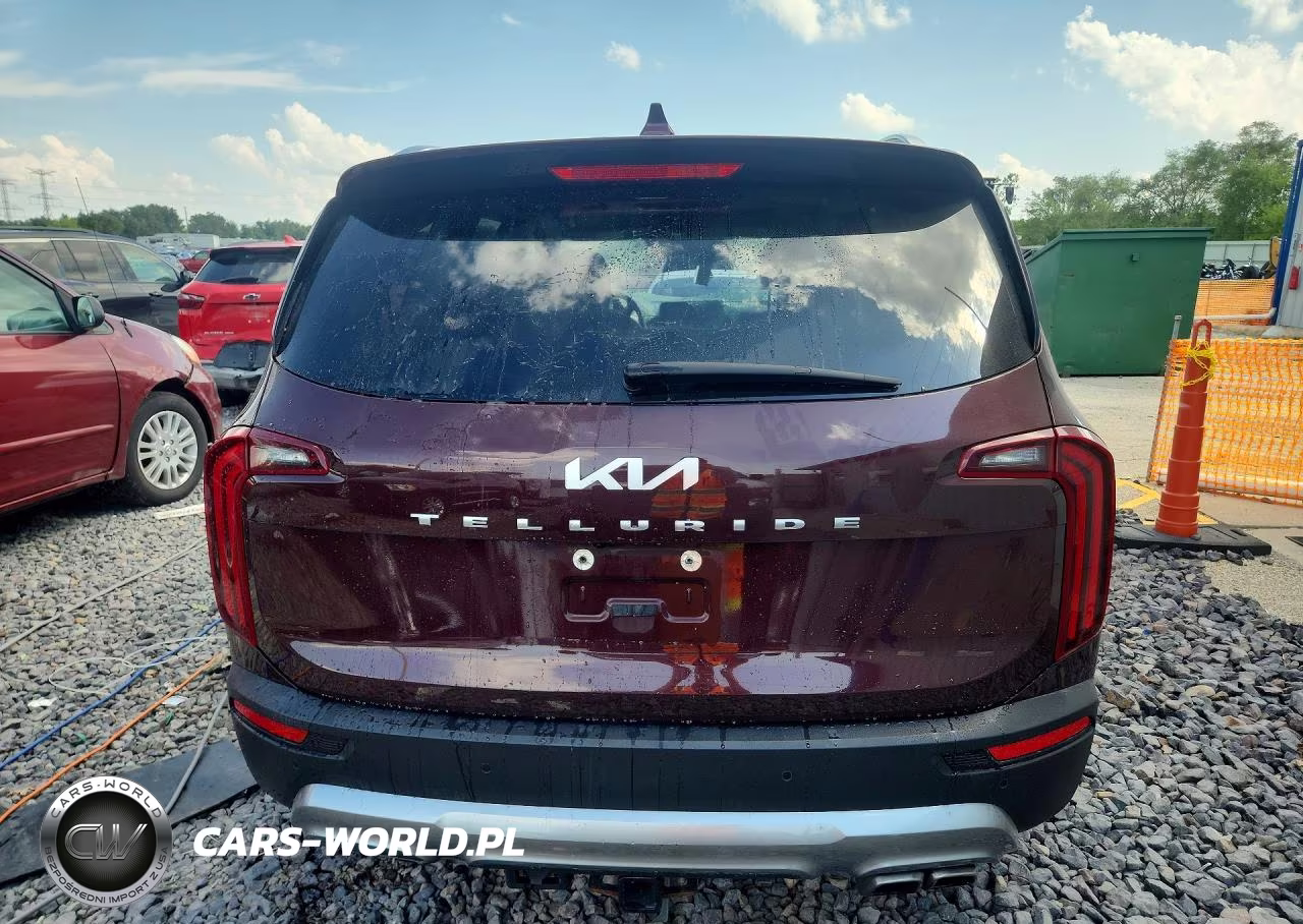 2022 Kia Telluride Ex VIN:5XYP34HC7NG232379 - 6