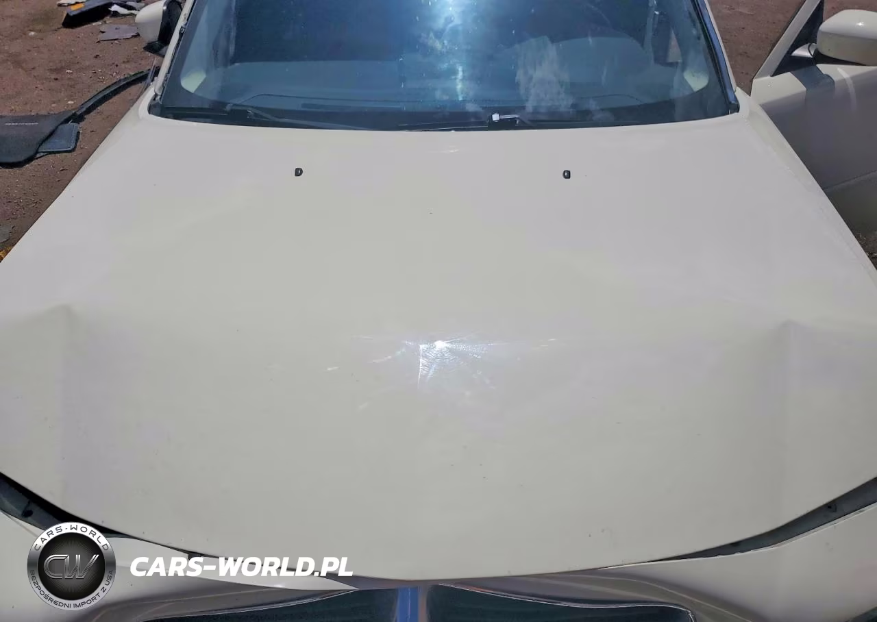 2010 Dodge Charger R-T VIN:2B3CA8CT2AH304783 - 11