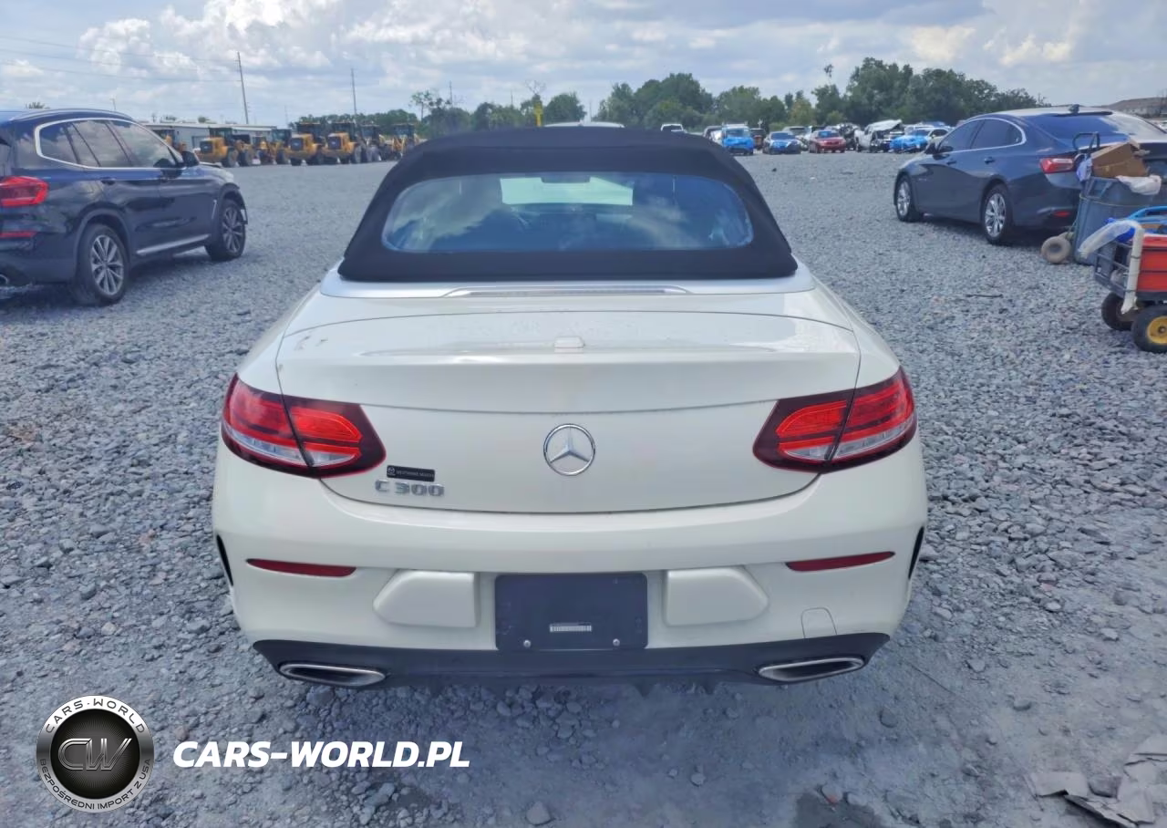 2020 Mercedes-Benz C 300 VIN:WDDWK8DB9LF935443 - 6