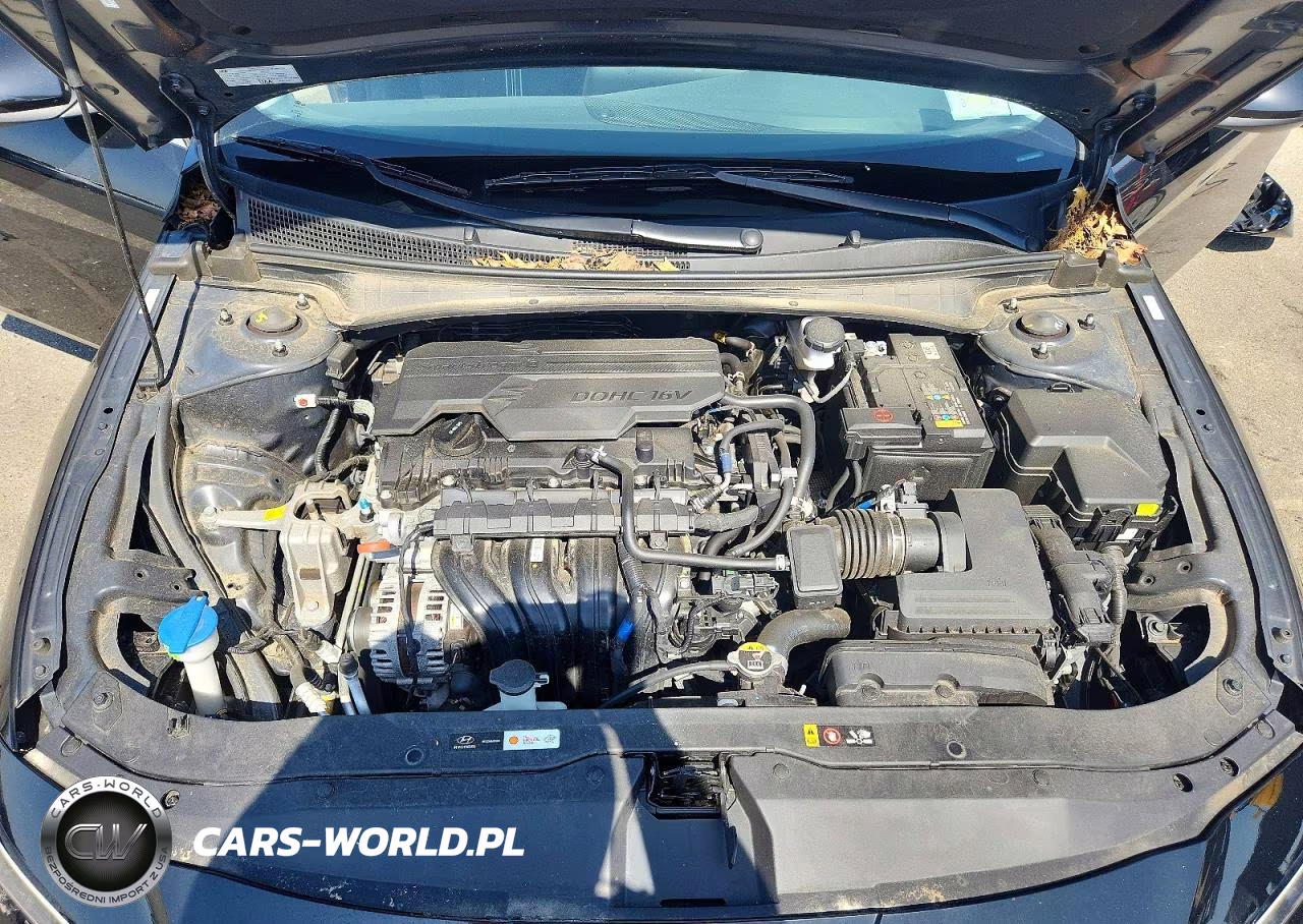 2024 Hyundai Elantra Sel VIN:KMHLS4DG5RU800025 - 11
