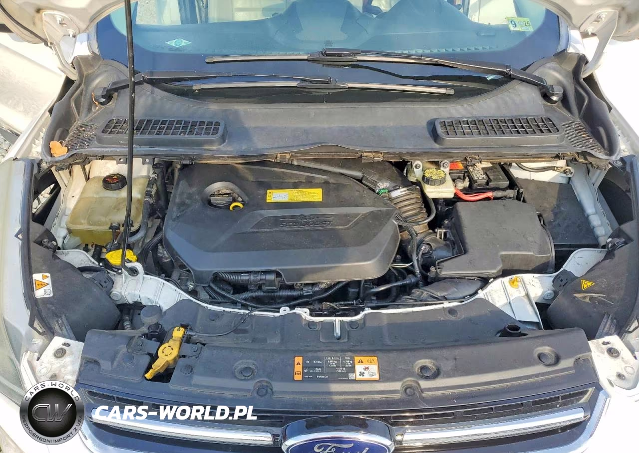 2014 Ford Escape Titanium VIN:1FMCU9JX5EUB95963 - 12