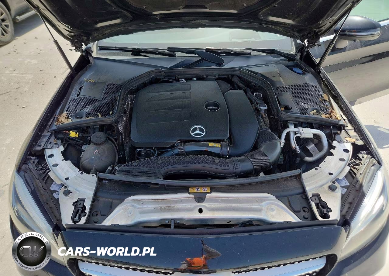 2019 Mercedes-Benz C 300 VIN:WDDWK8DB5KF795227 - 11
