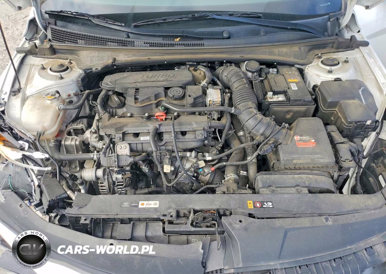 2023 Hyundai Elantra N Line VIN:KMHLR4AF5PU466406 - 11