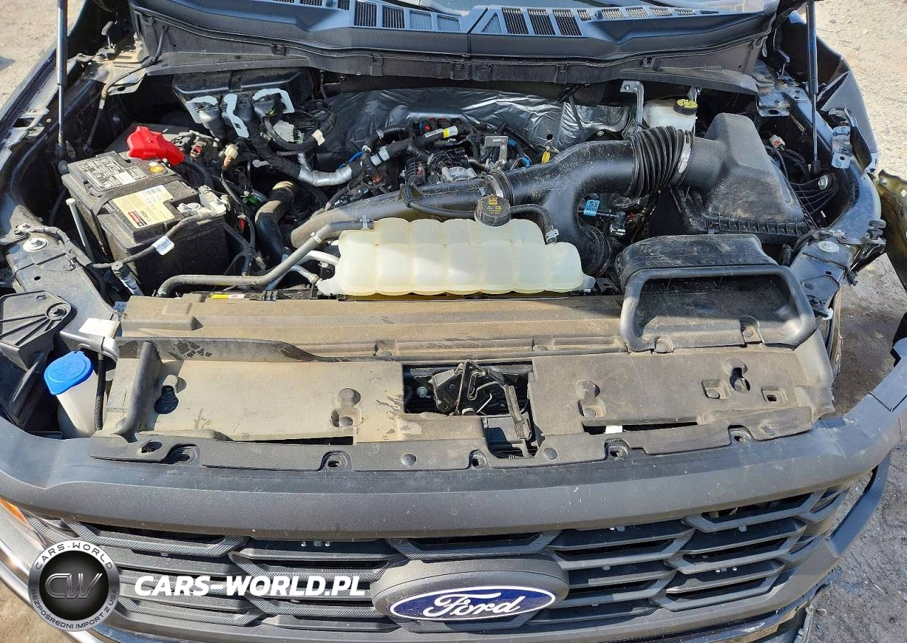2024 Ford F150 Xl VIN:1FTEW1LP2RKD94153 - 11
