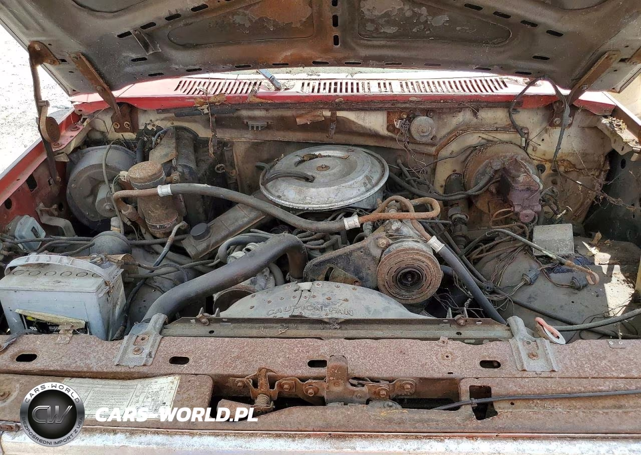 1985 Ford F150 VIN:1FTCF15FXFPA46899 - 11