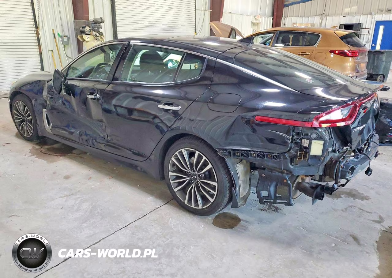 2018 Kia Stinger Premium VIN:KNAE25LA4J6012441 - 2