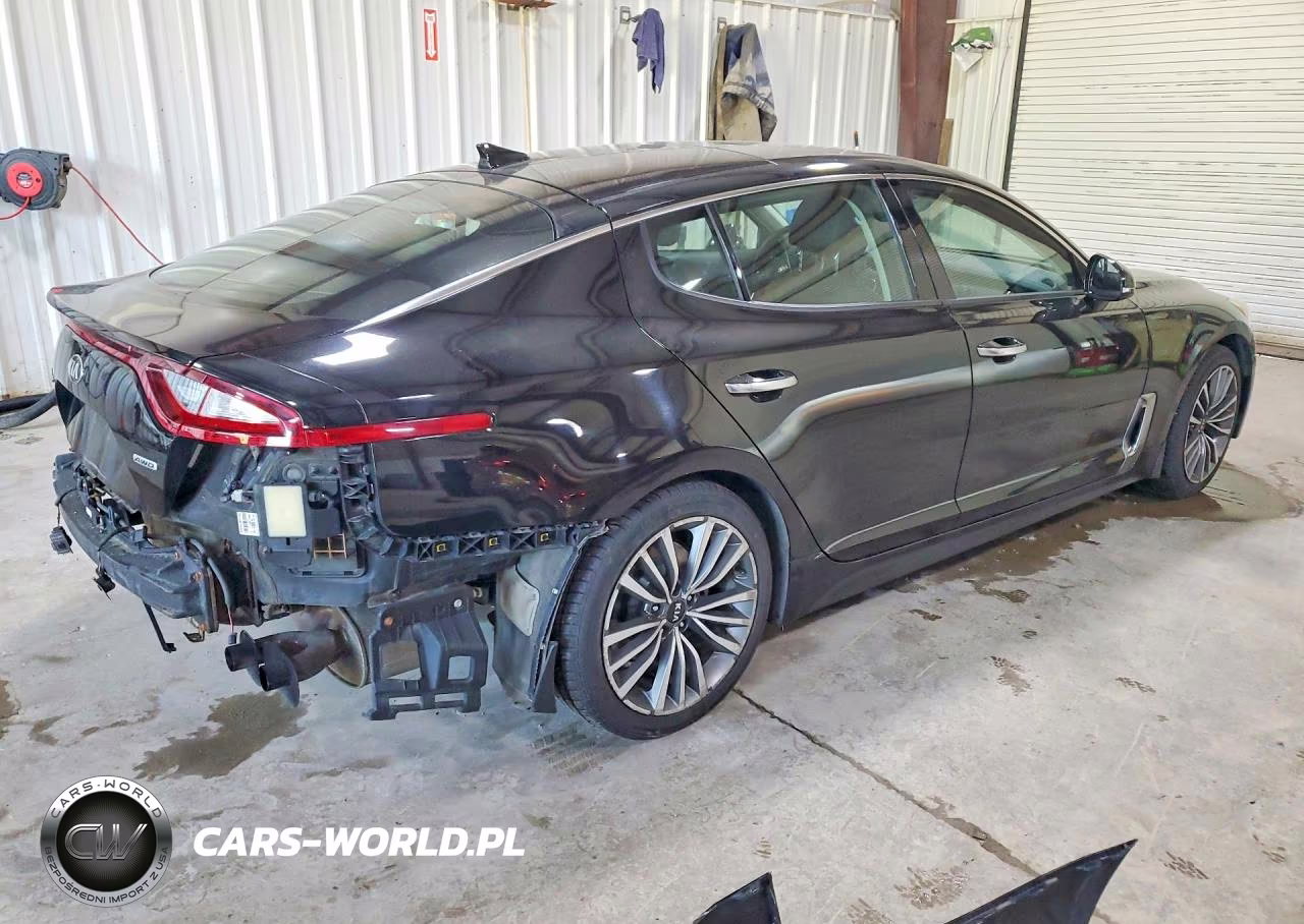 2018 Kia Stinger Premium VIN:KNAE25LA4J6012441 - 3