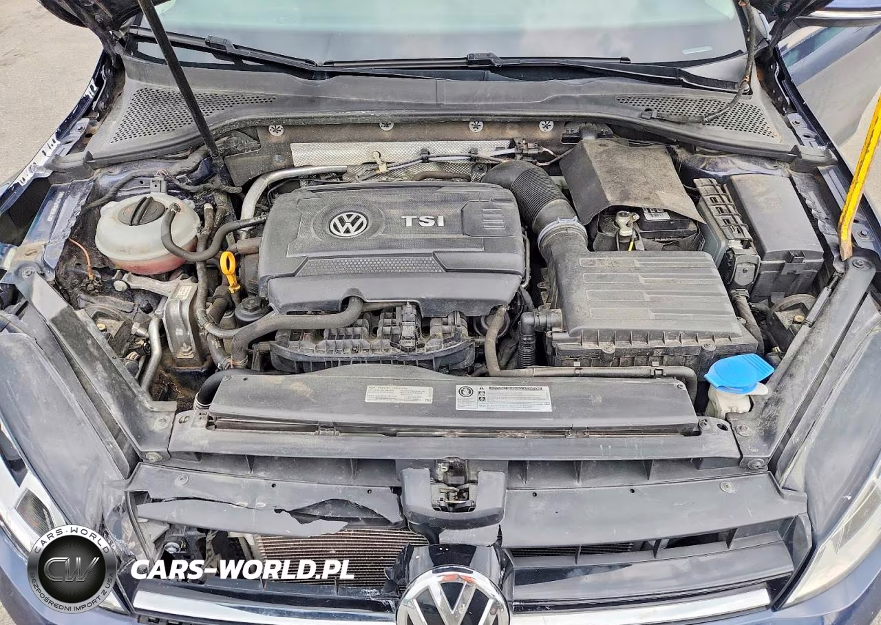 2017 Volkswagen Golf Sportwagen S VIN:3VWA17AU8HM534297 - 11