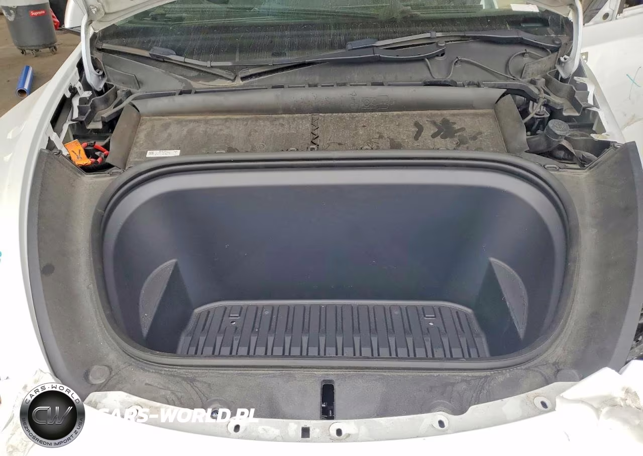 2023 Tesla Model Y VIN:7SAYGDEEXPF742575 - 11