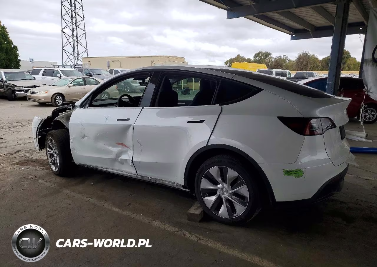 2023 Tesla Model Y VIN:7SAYGDEEXPF742575 - 2