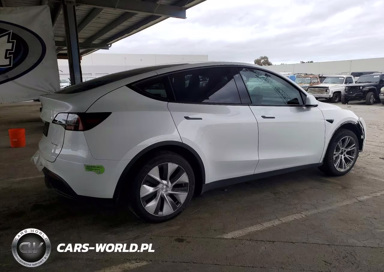 2023 Tesla Model Y VIN:7SAYGDEEXPF742575 - 3