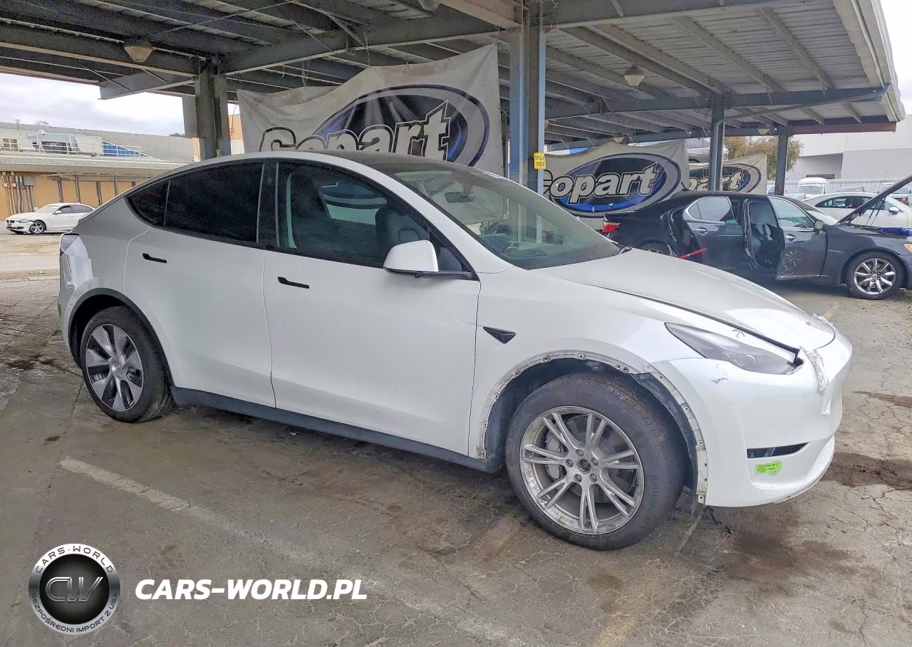 2023 Tesla Model Y VIN:7SAYGDEEXPF742575 - 4