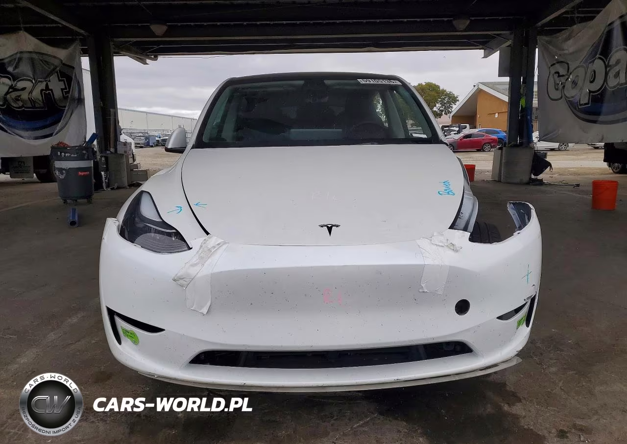 2023 Tesla Model Y VIN:7SAYGDEEXPF742575 - 5