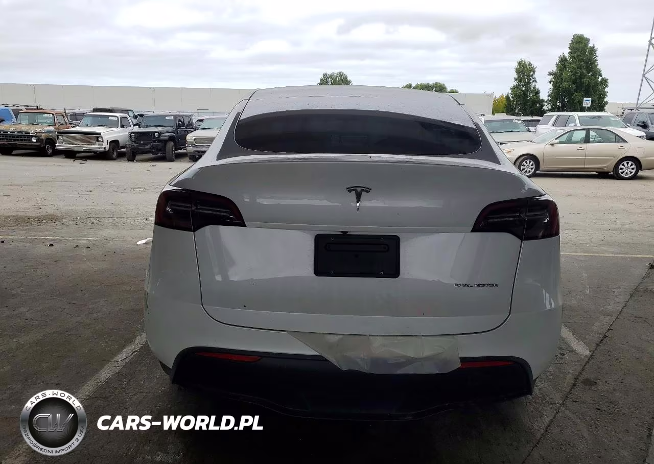 2023 Tesla Model Y VIN:7SAYGDEEXPF742575 - 6