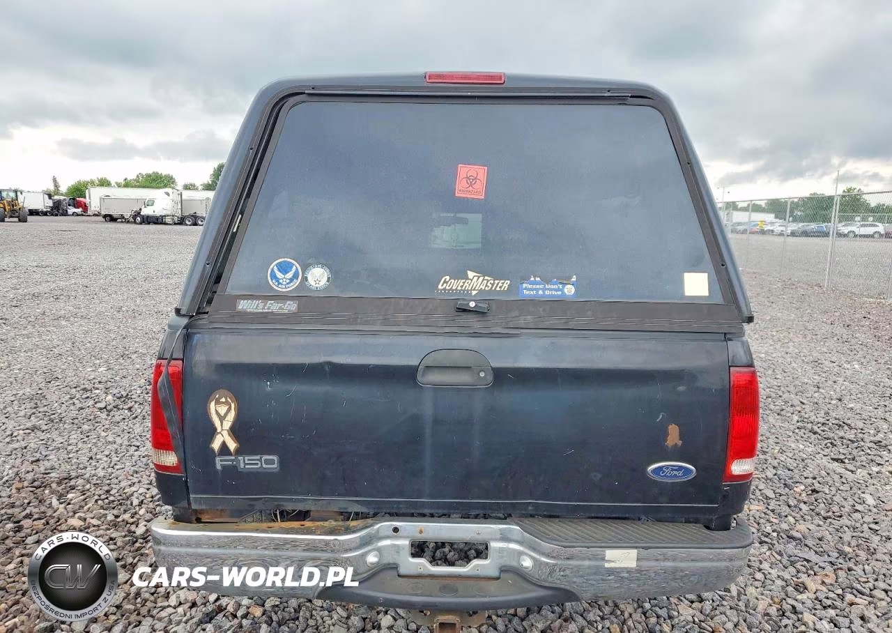 1999 Ford F150 VIN:1FTRX17W6XKB12206 - 10