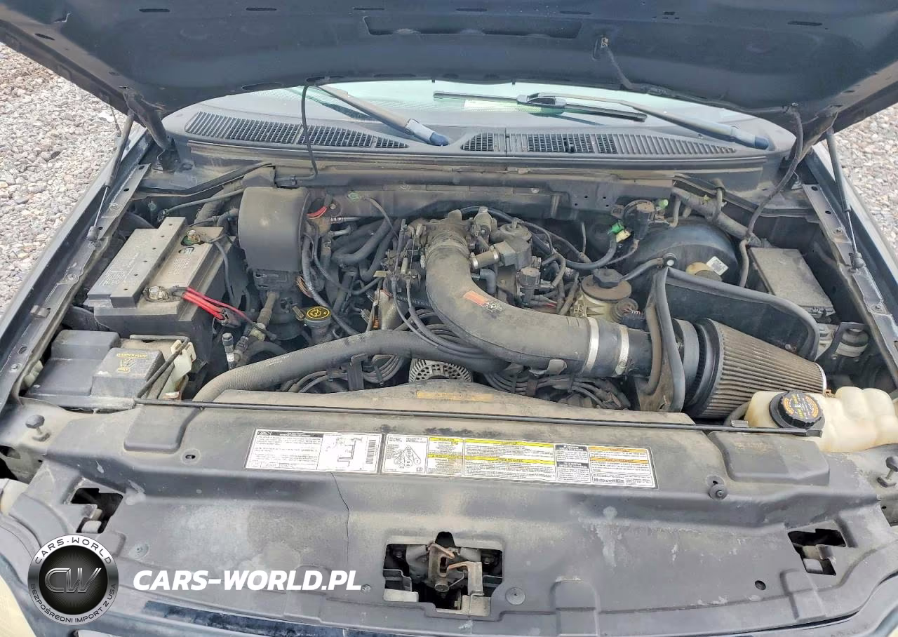 1999 Ford F150 VIN:1FTRX17W6XKB12206 - 11