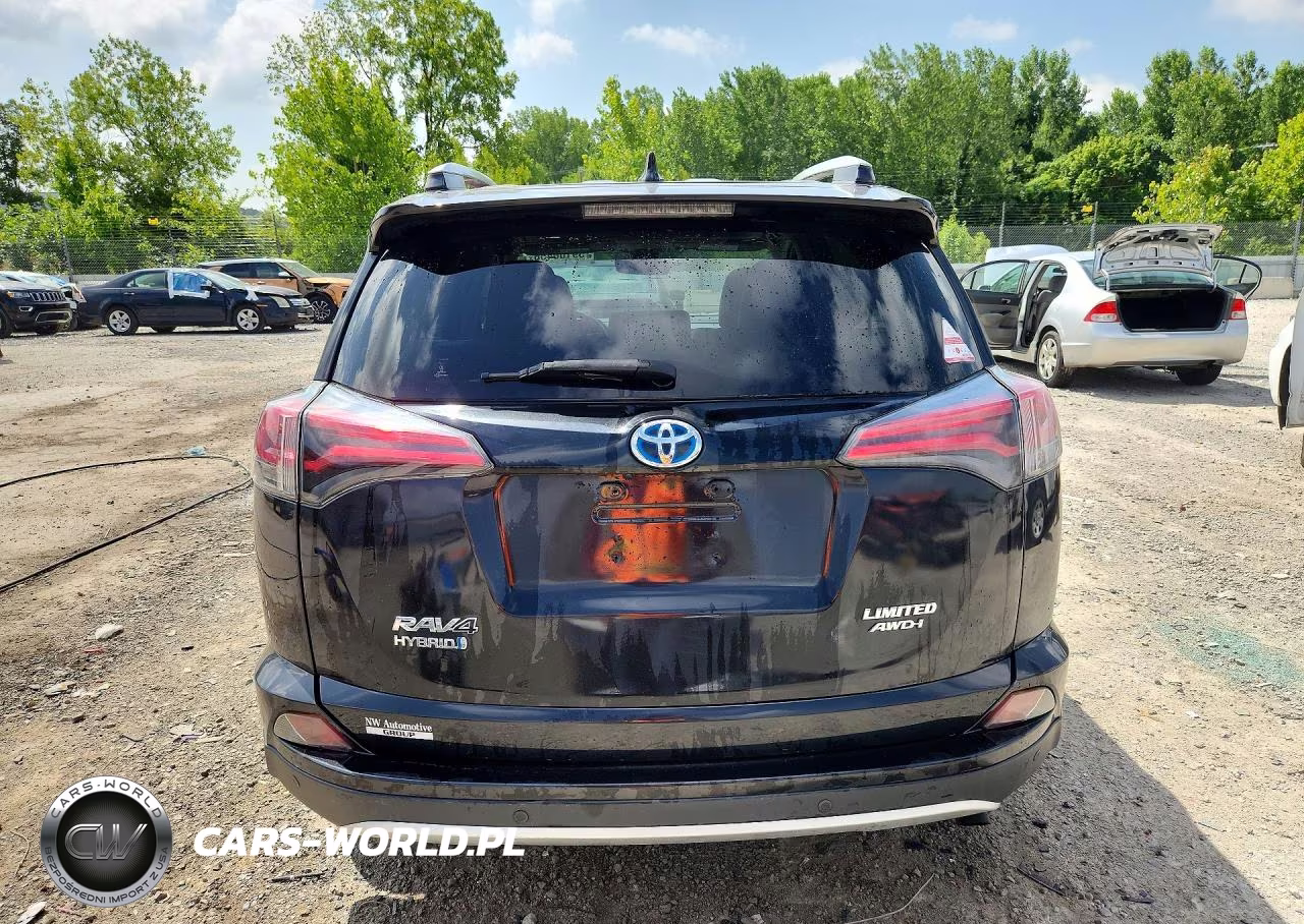 2016 Toyota Rav4 Hv Limited VIN:JTMDJREV3GD011097 - 6