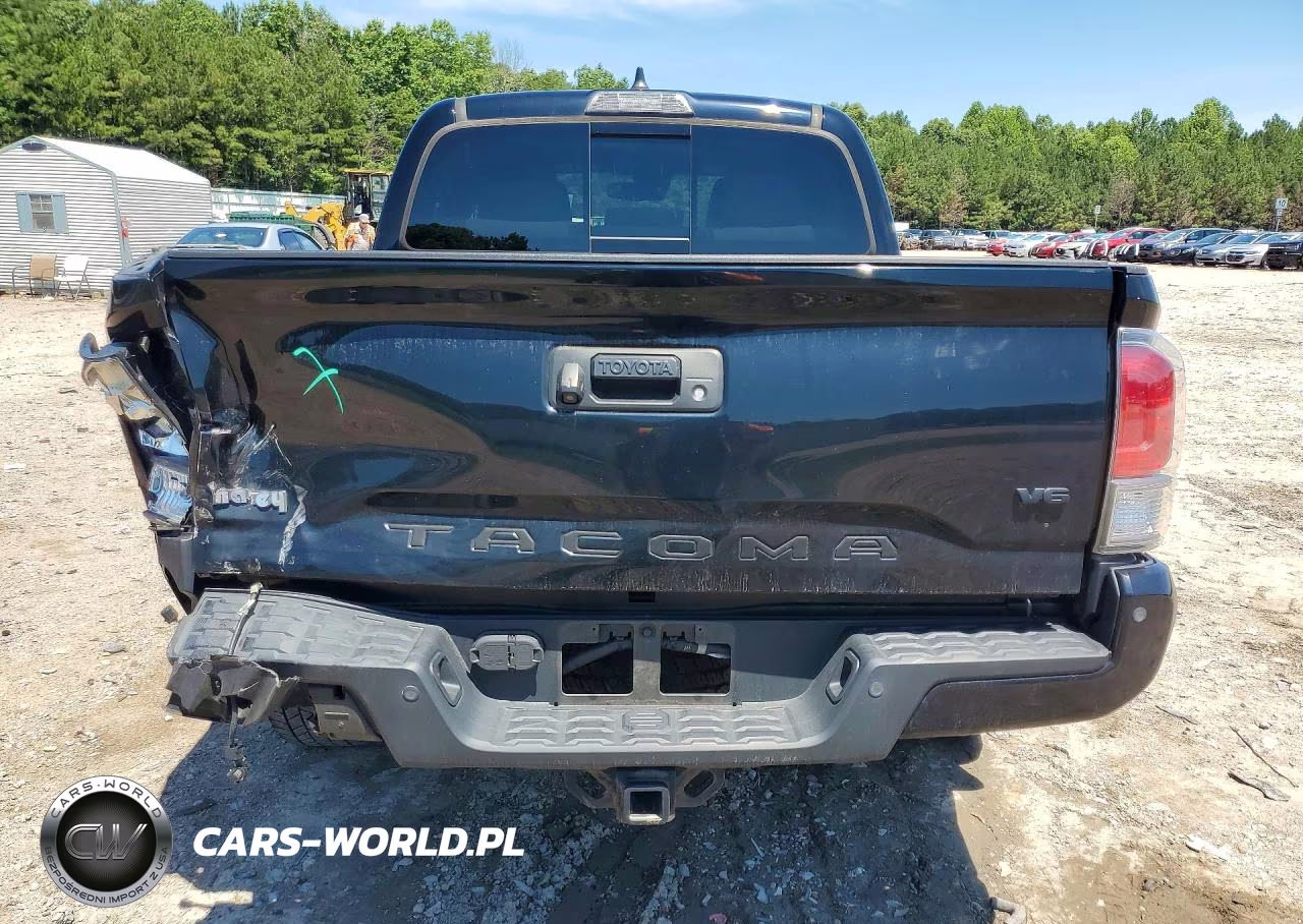 2020 Toyota Tacoma Trd Off-Road VIN:3TMCZ5AN1LM369011 - 6