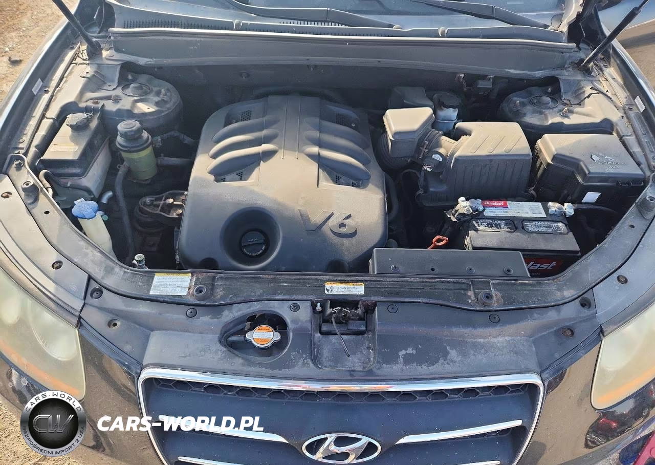 2009 Hyundai Santa Fe Limited VIN:5NMSH13EX9H324696 - 11