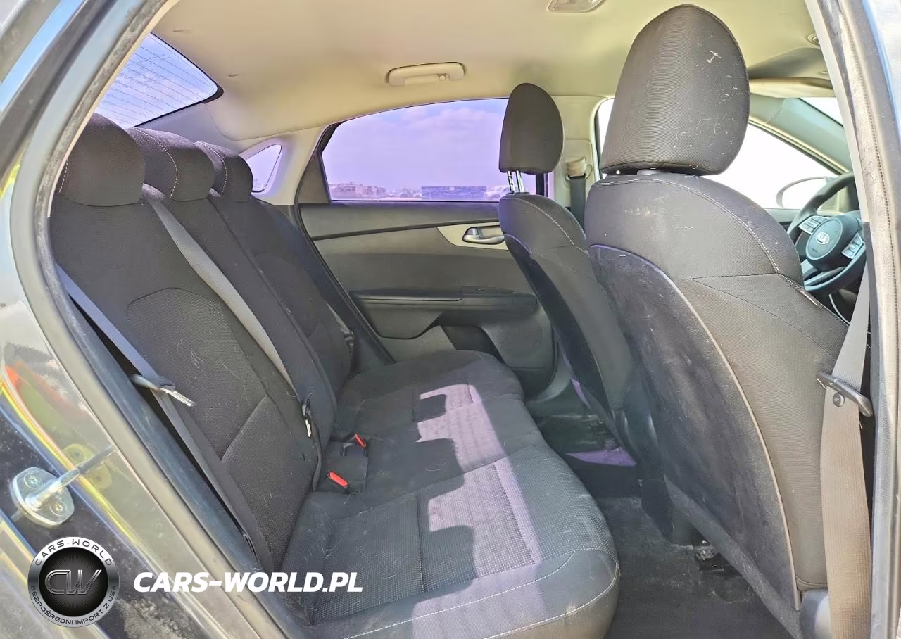 2019 Kia Forte Lxs VIN:3KPF24AD4KE112713 - 10