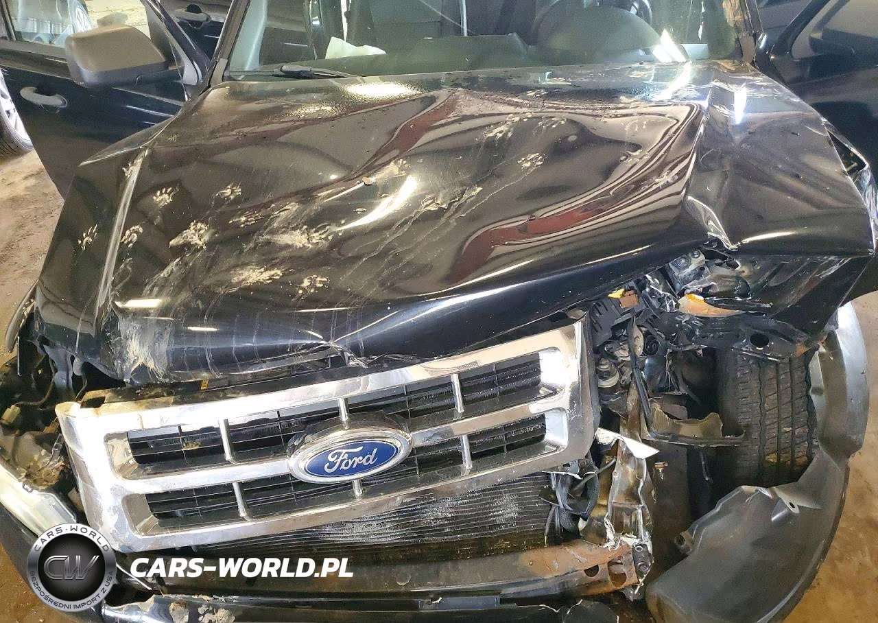 2012 Ford Escape Xlt VIN:1FMCU0DG2CKA86229 - 12
