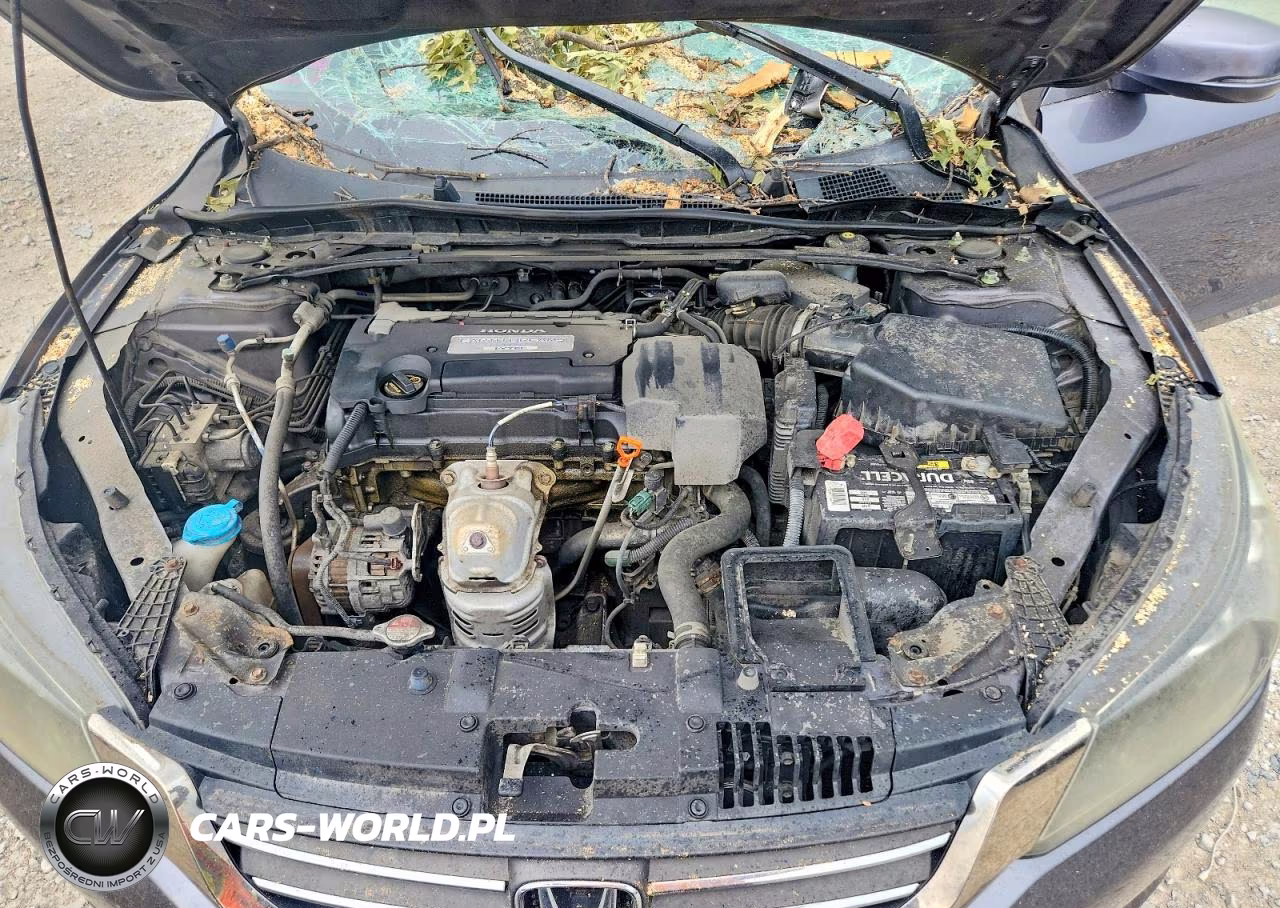 2013 Honda Accord Exl VIN:1HGCR2F83DA094839 - 11