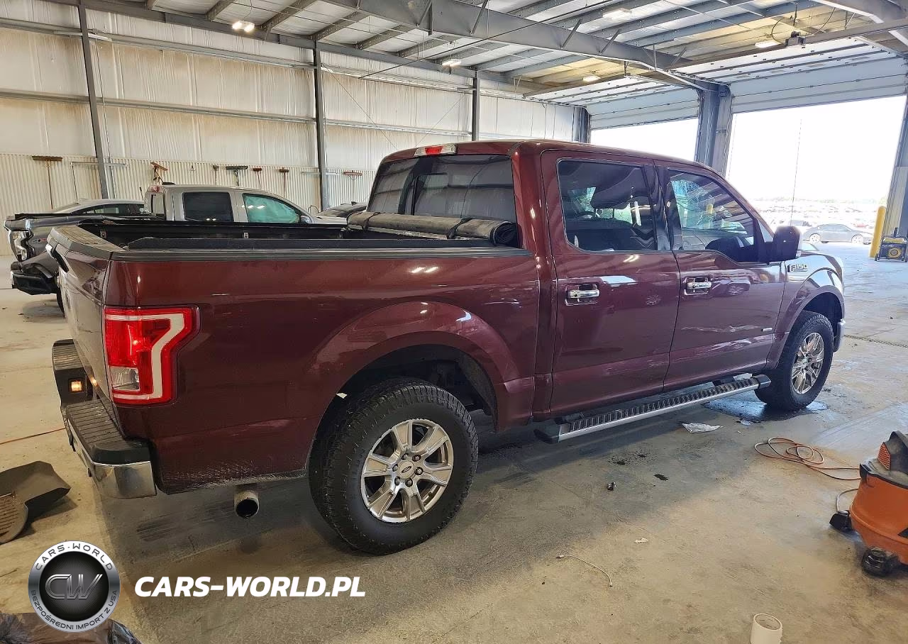 2016 Ford F150 Supercrew VIN:1FTEW1EP4GKG00244 - 3