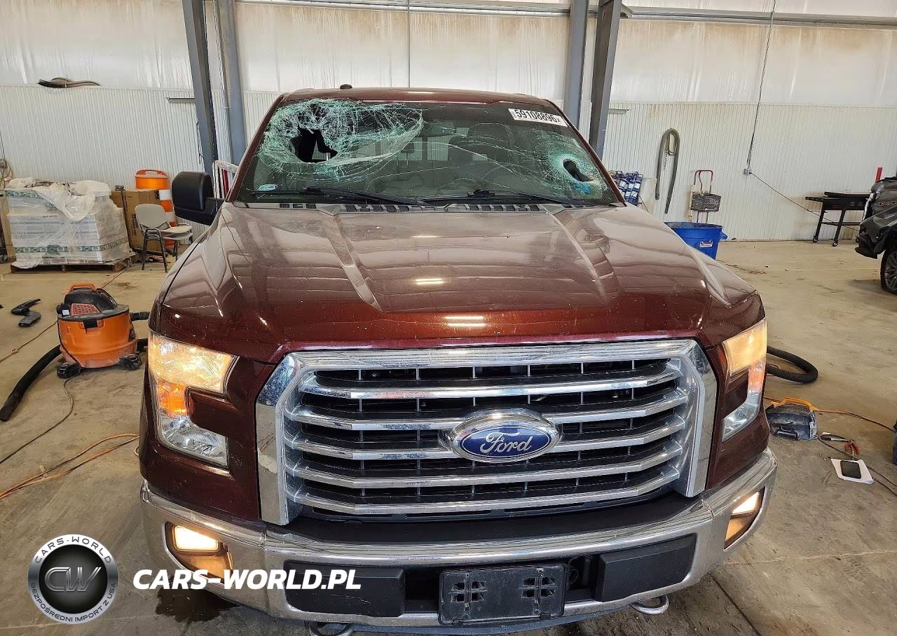 2016 Ford F150 Supercrew VIN:1FTEW1EP4GKG00244 - 5
