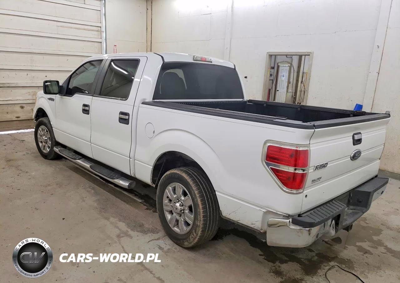 2010 Ford F150 Supercrew VIN:1FTEW1C82AFA55219 - 2
