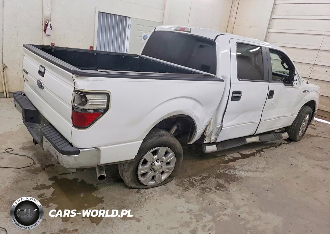 2010 Ford F150 Supercrew VIN:1FTEW1C82AFA55219 - 3