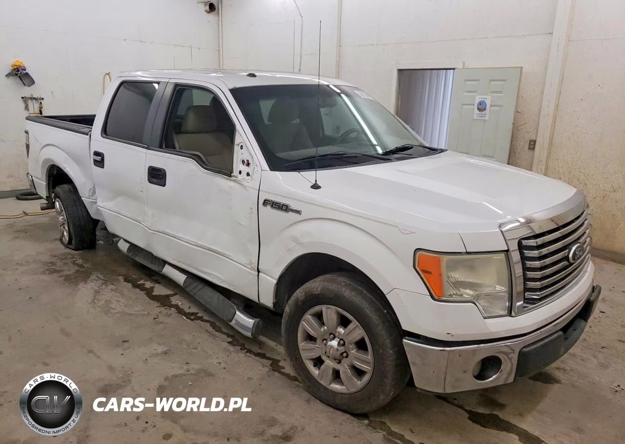 2010 Ford F150 Supercrew VIN:1FTEW1C82AFA55219 - 4