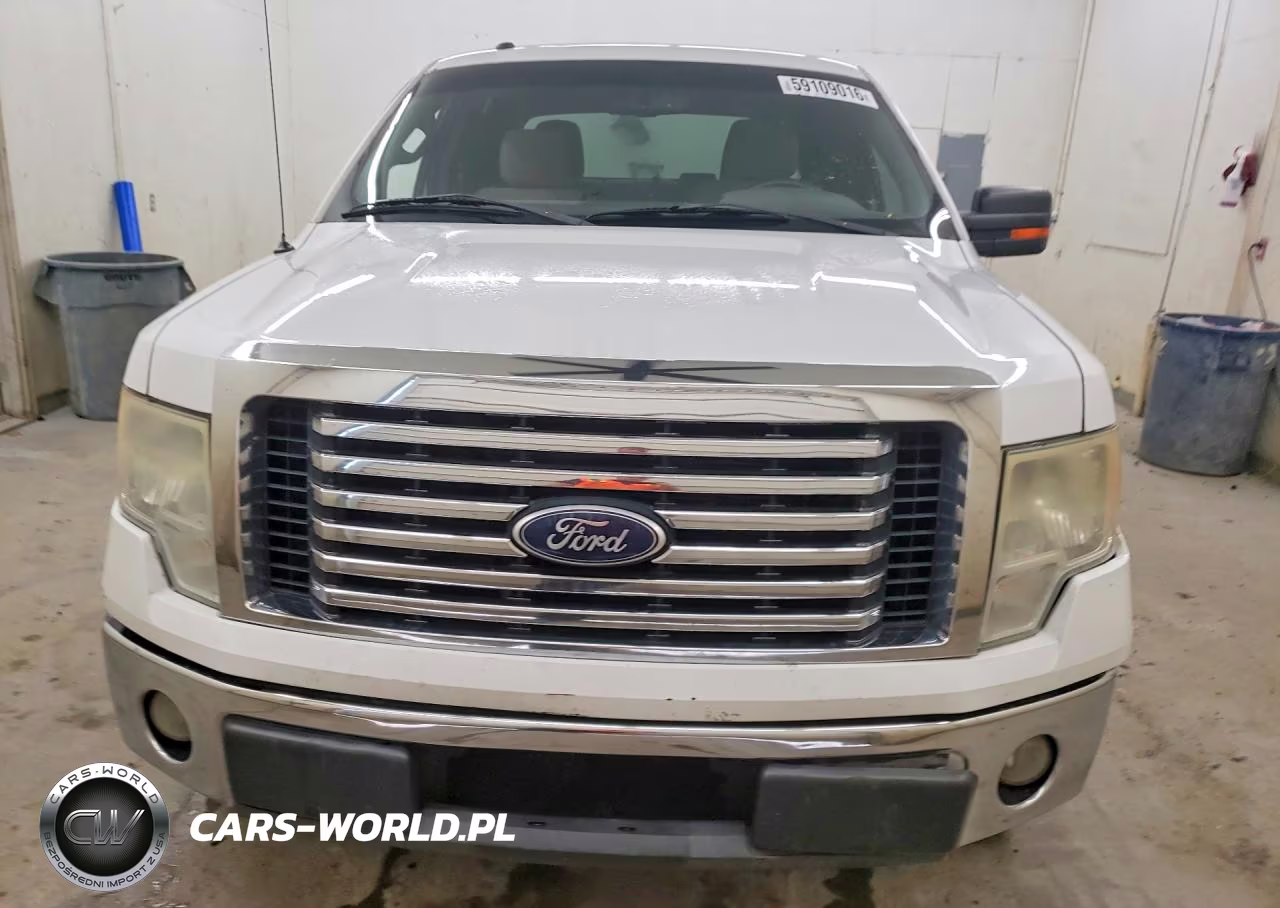 2010 Ford F150 Supercrew VIN:1FTEW1C82AFA55219 - 5