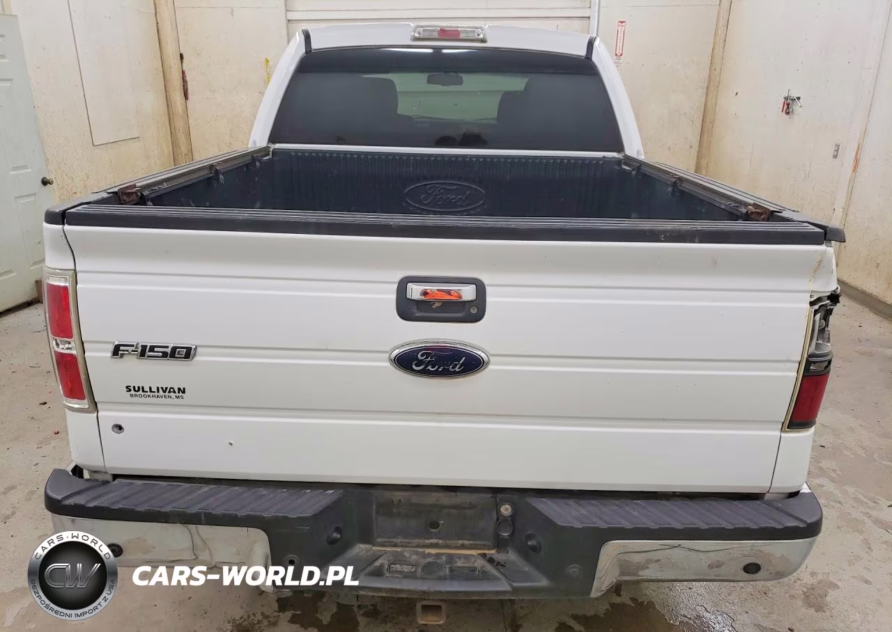 2010 Ford F150 Supercrew VIN:1FTEW1C82AFA55219 - 6