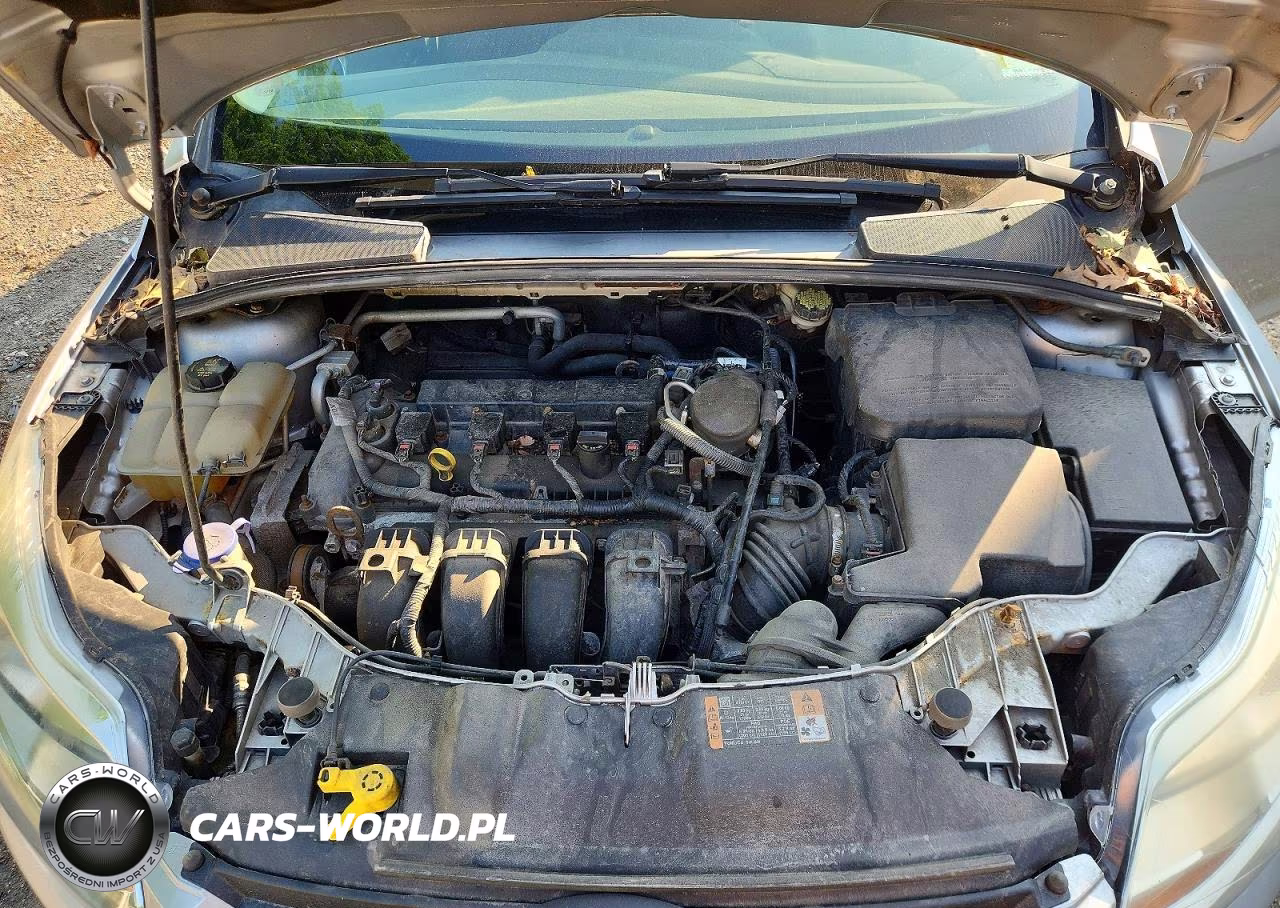 2014 Ford Focus Se VIN:1FADP3F28EL401752 - 11