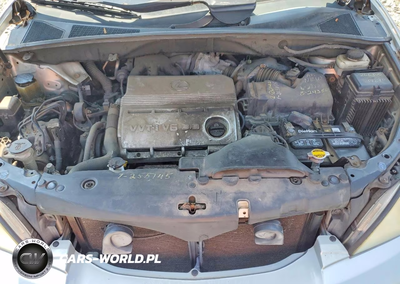 2004 Lexus Rx 330 VIN:2T2HA31U04C013406 - 12