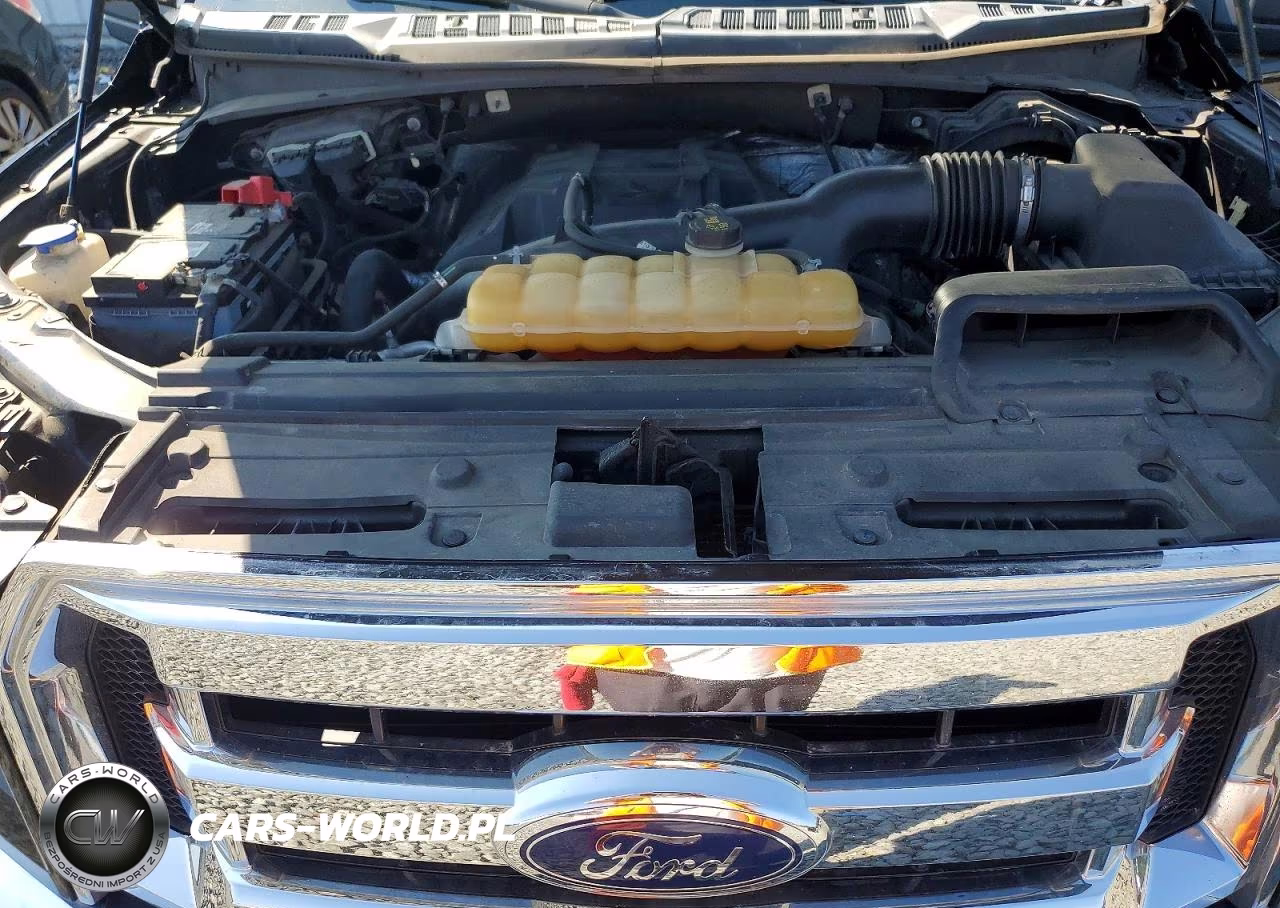 2016 Ford F150 Supercrew VIN:1FTEW1EP6GFC31718 - 11