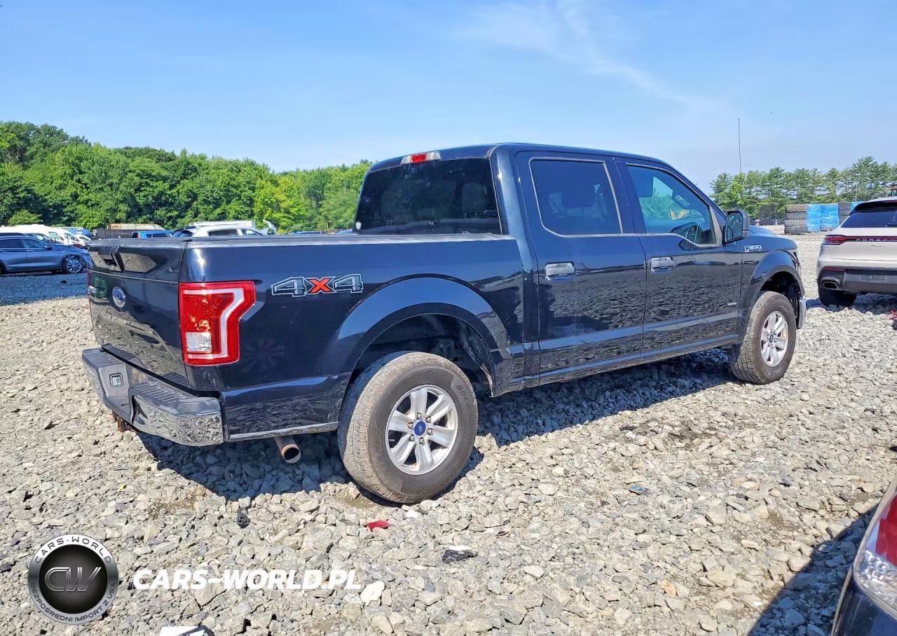 2016 Ford F150 Supercrew VIN:1FTEW1EP6GFC31718 - 3