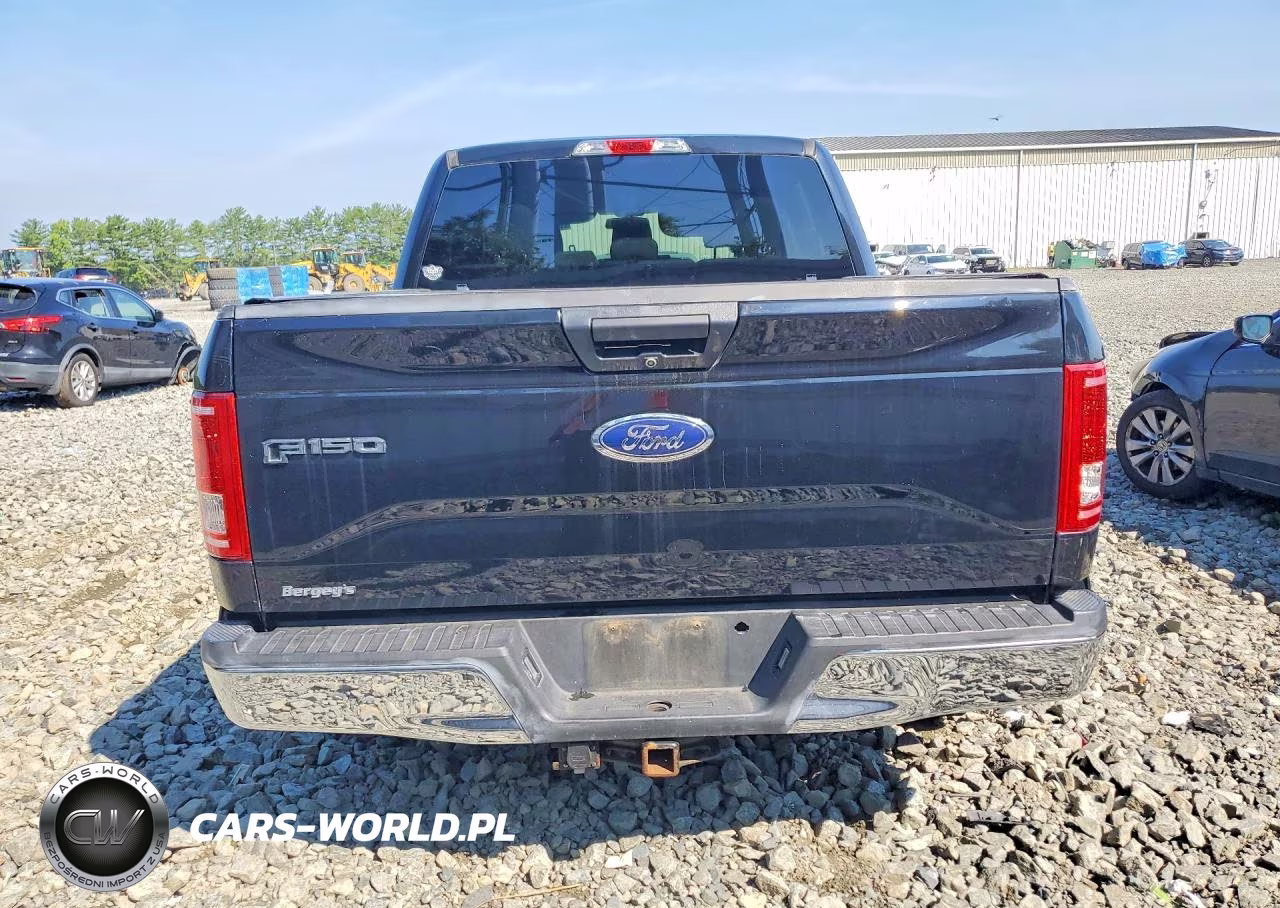 2016 Ford F150 Supercrew VIN:1FTEW1EP6GFC31718 - 6