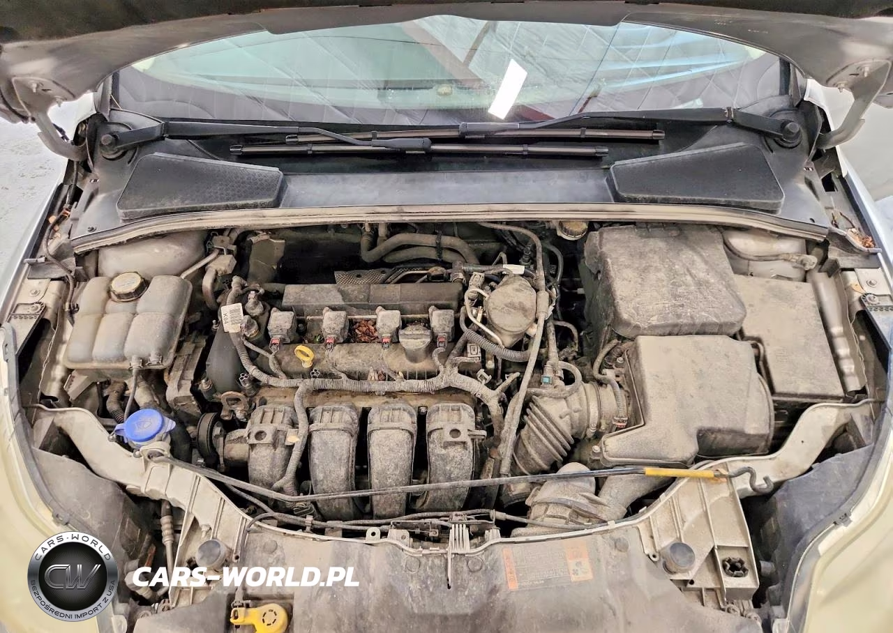 2014 Ford Focus Se VIN:1FADP3F26EL327201 - 11