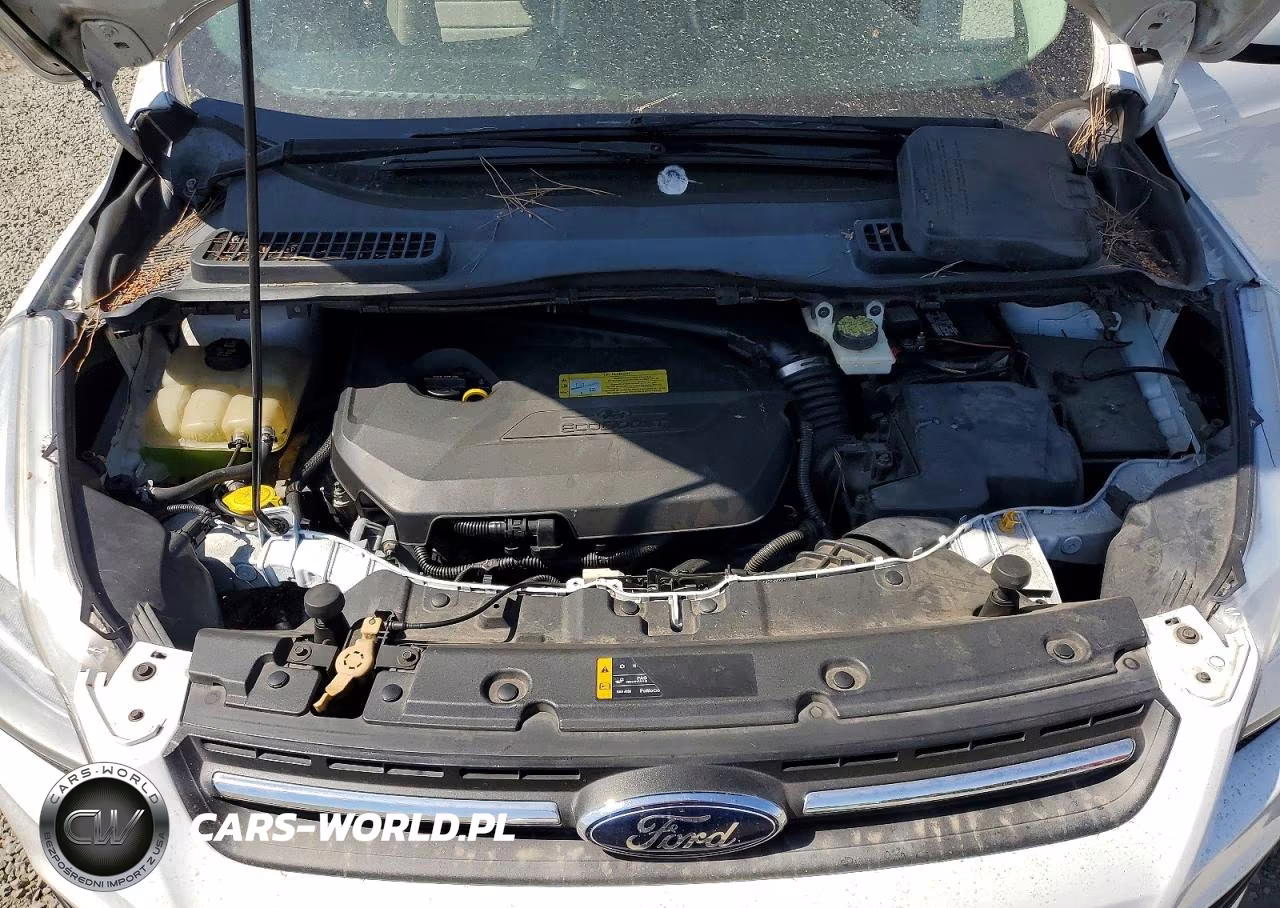 2013 Ford Escape Se VIN:1FMCU9GX1DUA42583 - 11