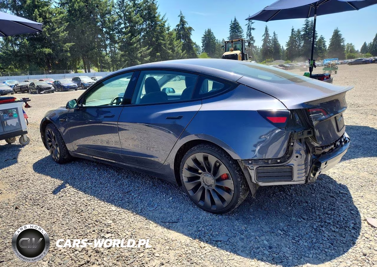 2023 Tesla Model 3 VIN:5YJ3E1EC0PF709482 - 2