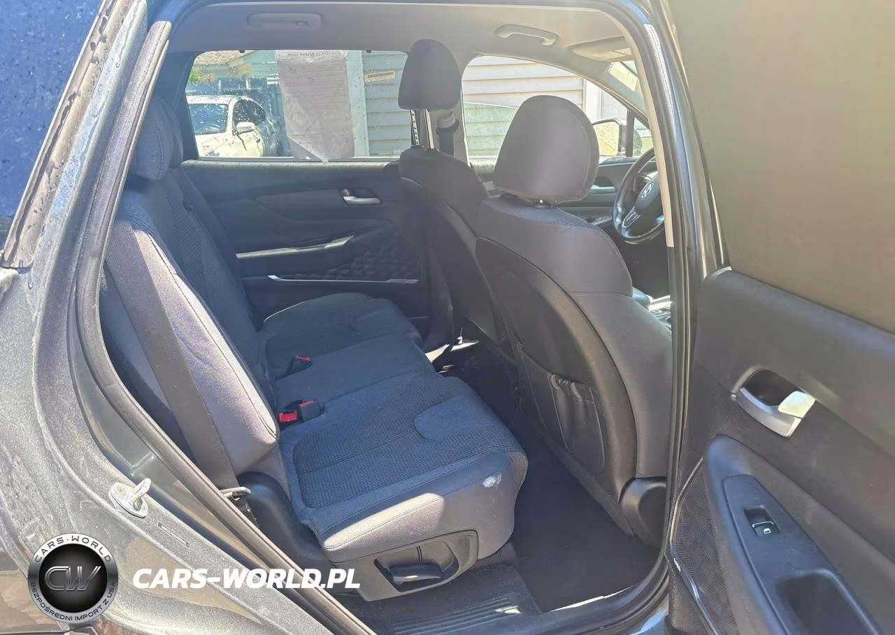 2019 Hyundai Santa Fe Sel Plus 2.4L VIN:5NMS3CAD2KH040165 - 6