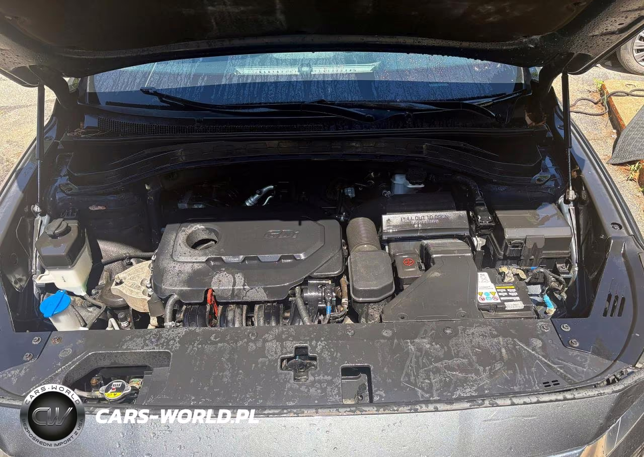 2019 Hyundai Santa Fe Sel Plus 2.4L VIN:5NMS3CAD2KH040165 - 7