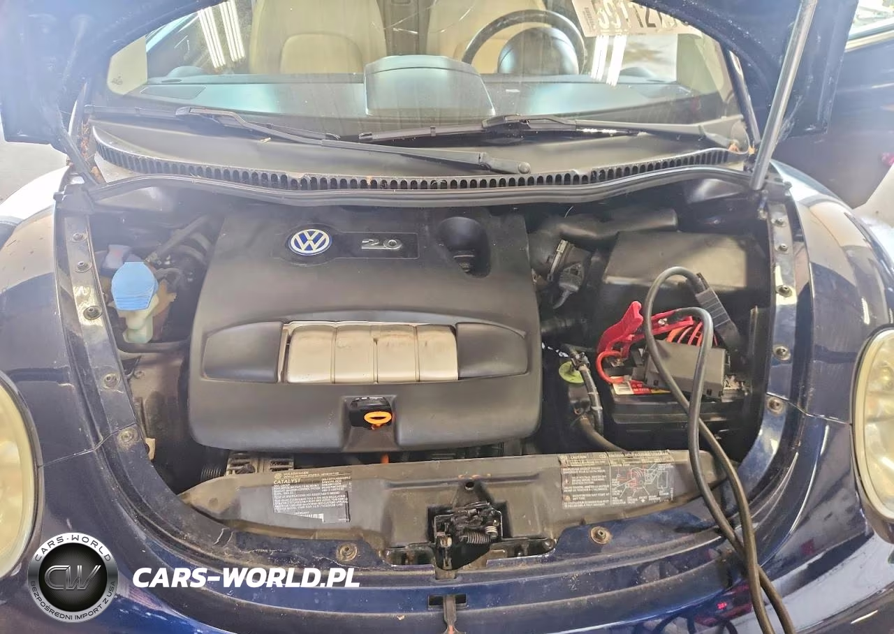 2003 Volkswagen New Beetle Gls VIN:3VWCK21Y03M302605 - 11