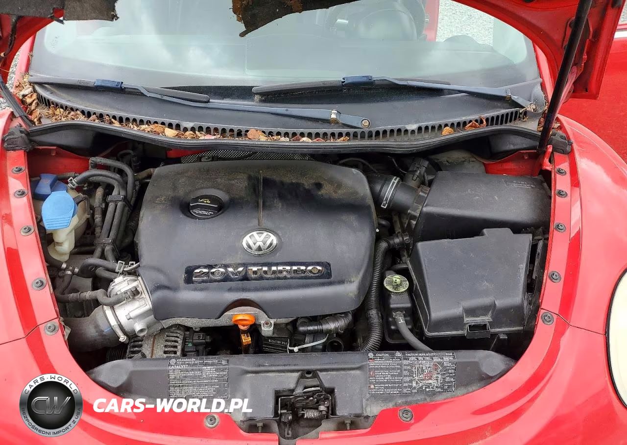 2004 Volkswagen New Beetle Gls VIN:3VWCD31Y34M341691 - 12
