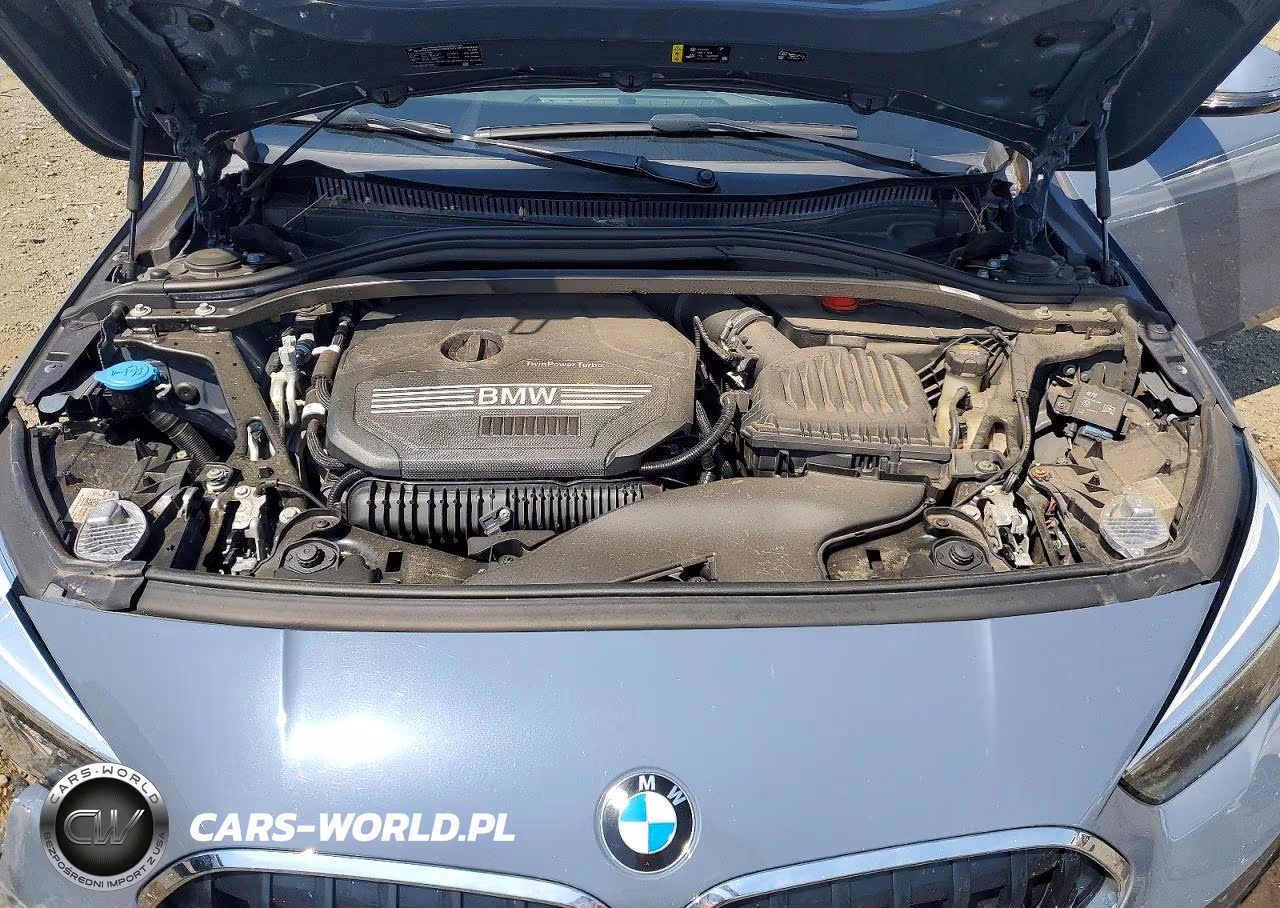 2020 BMW 228Xi VIN:WBA73AK02L7F88858 - 11