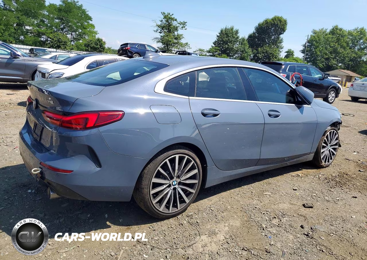2020 BMW 228Xi VIN:WBA73AK02L7F88858 - 3