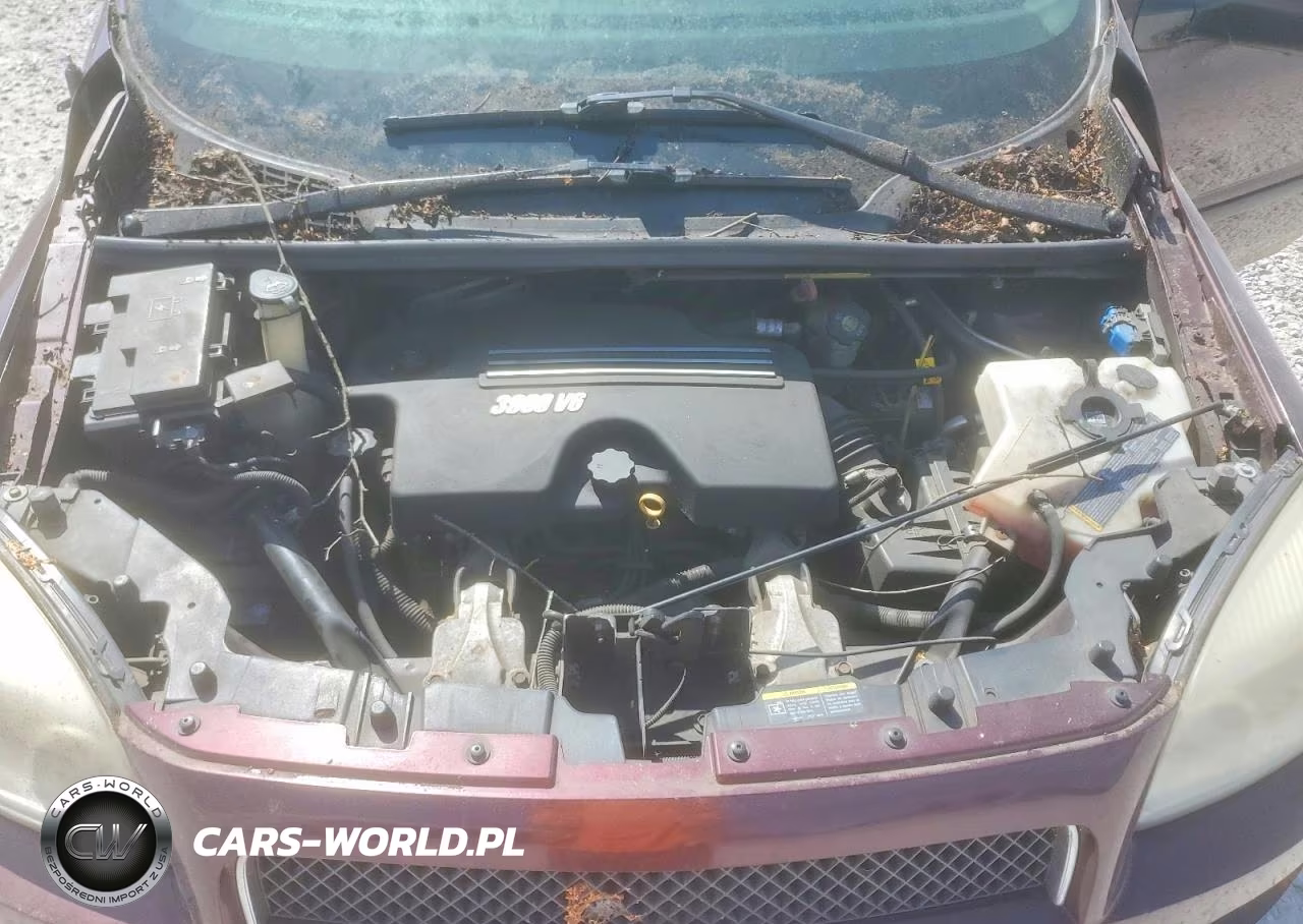 2007 Chevrolet Uplander Ls VIN:1GNDV23137D214073 - 12