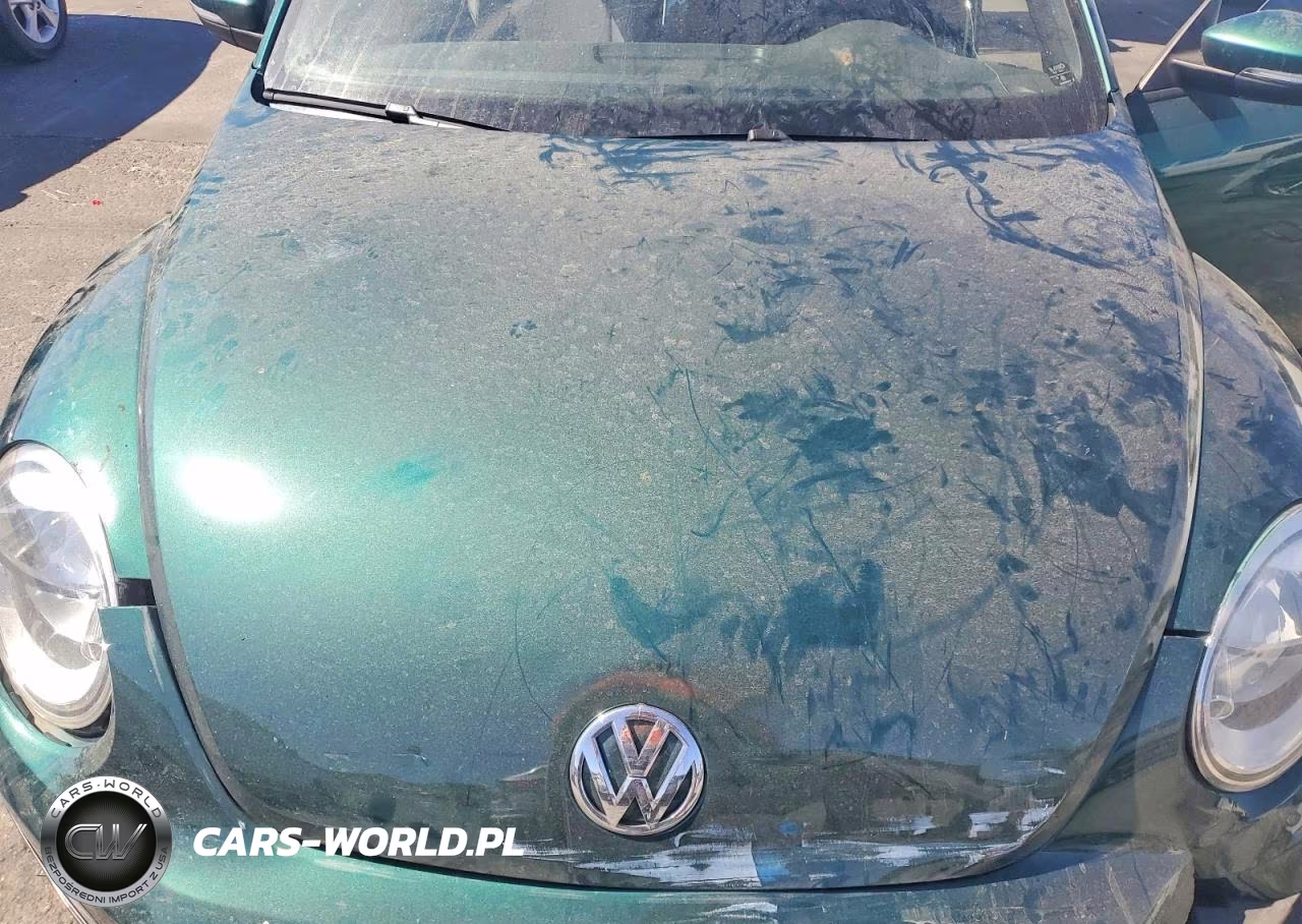 2018 VOLKSWAGEN BEETLE S VIN:3VWFD7ATXJM714746 - 11