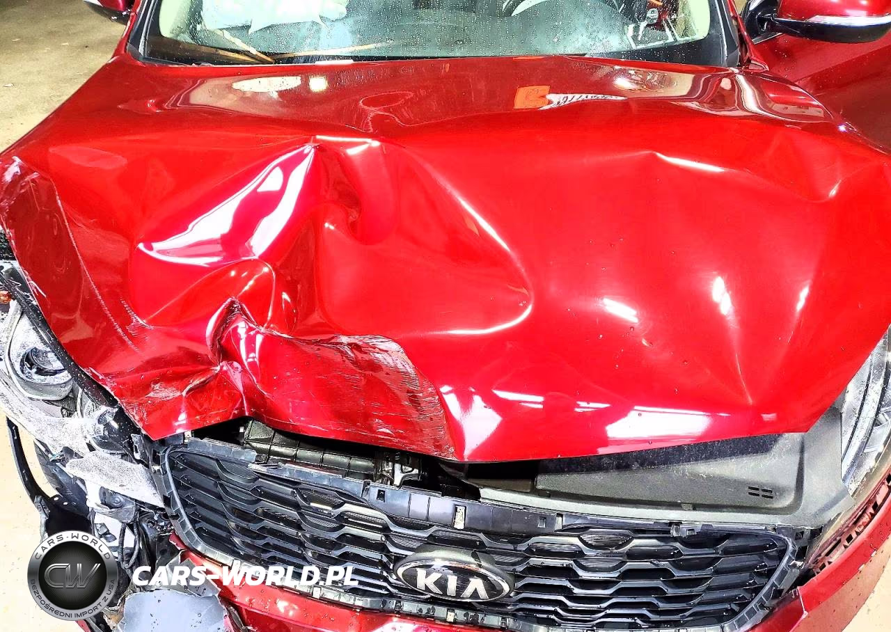 2019 Kia Sorento Lx VIN:5XYPGDA35KG542413 - 12